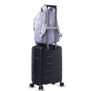 MORRAL GOCTAL