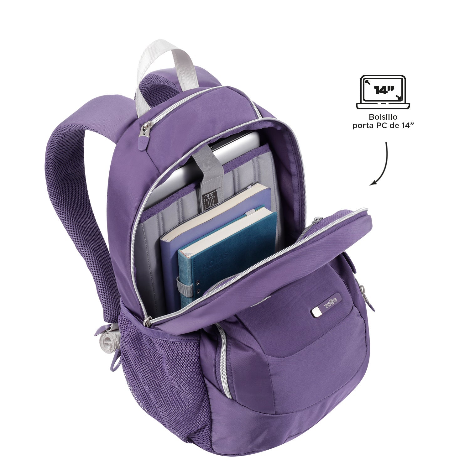 MORRAL GOCTAL