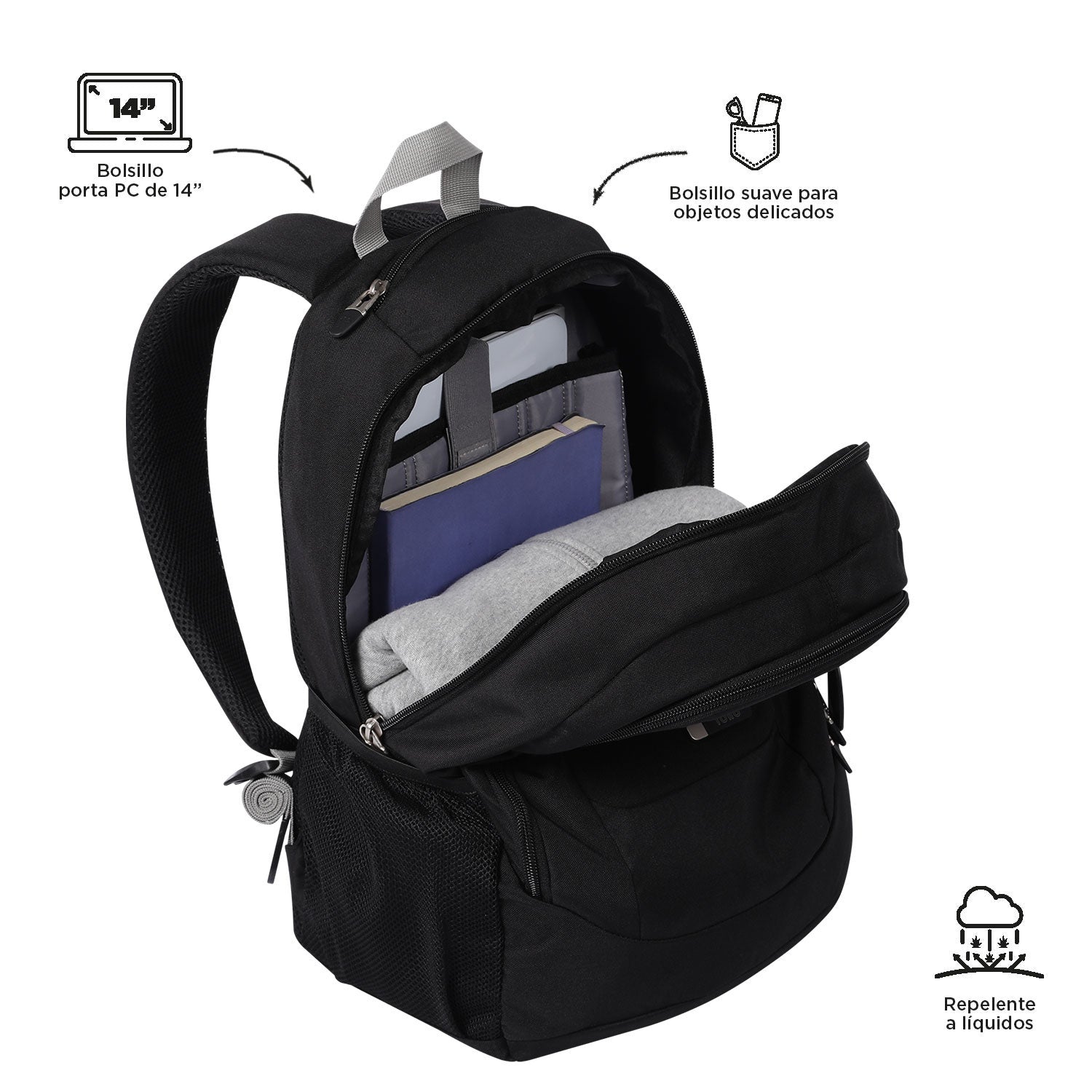 MORRAL GOCTAL