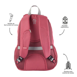 MORRAL GOCTAL