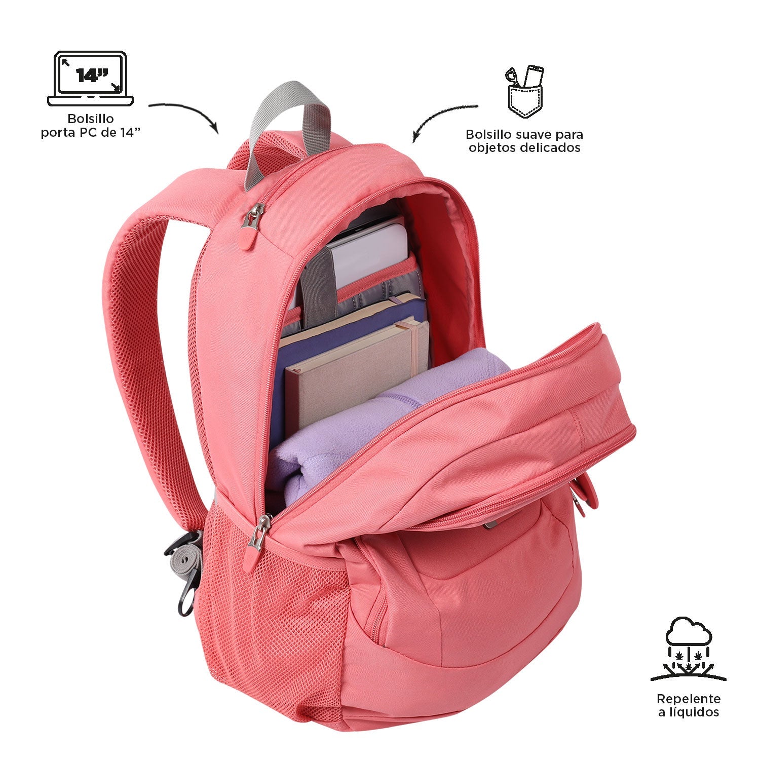 MORRAL GOCTAL