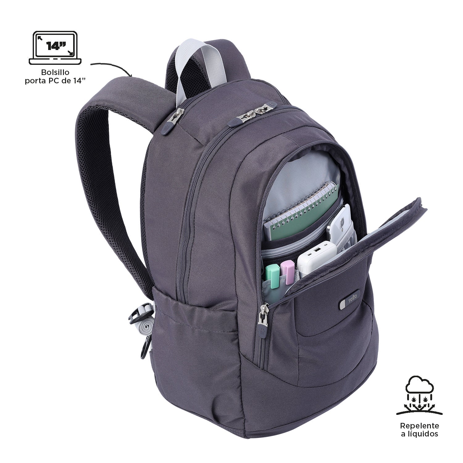 MORRAL GOCTAL