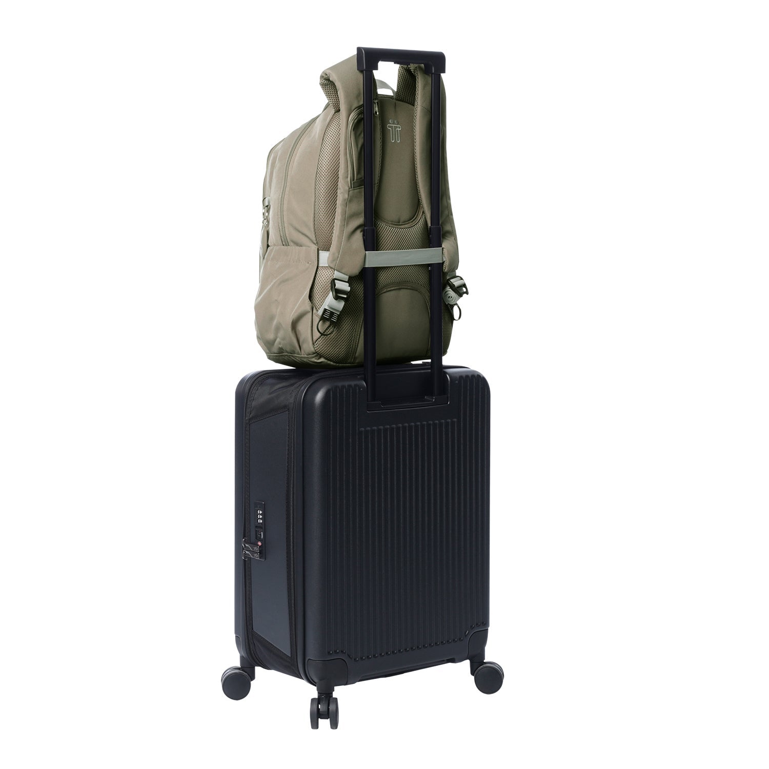 MORRAL GOCTAL