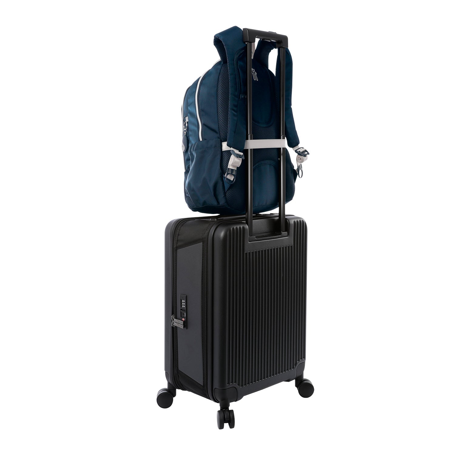 MORRAL GOCTAL