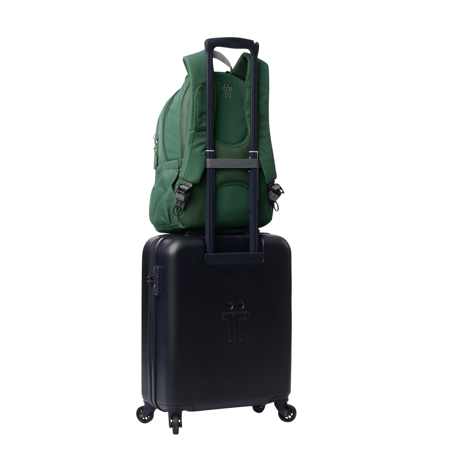 MORRAL GOCTAL