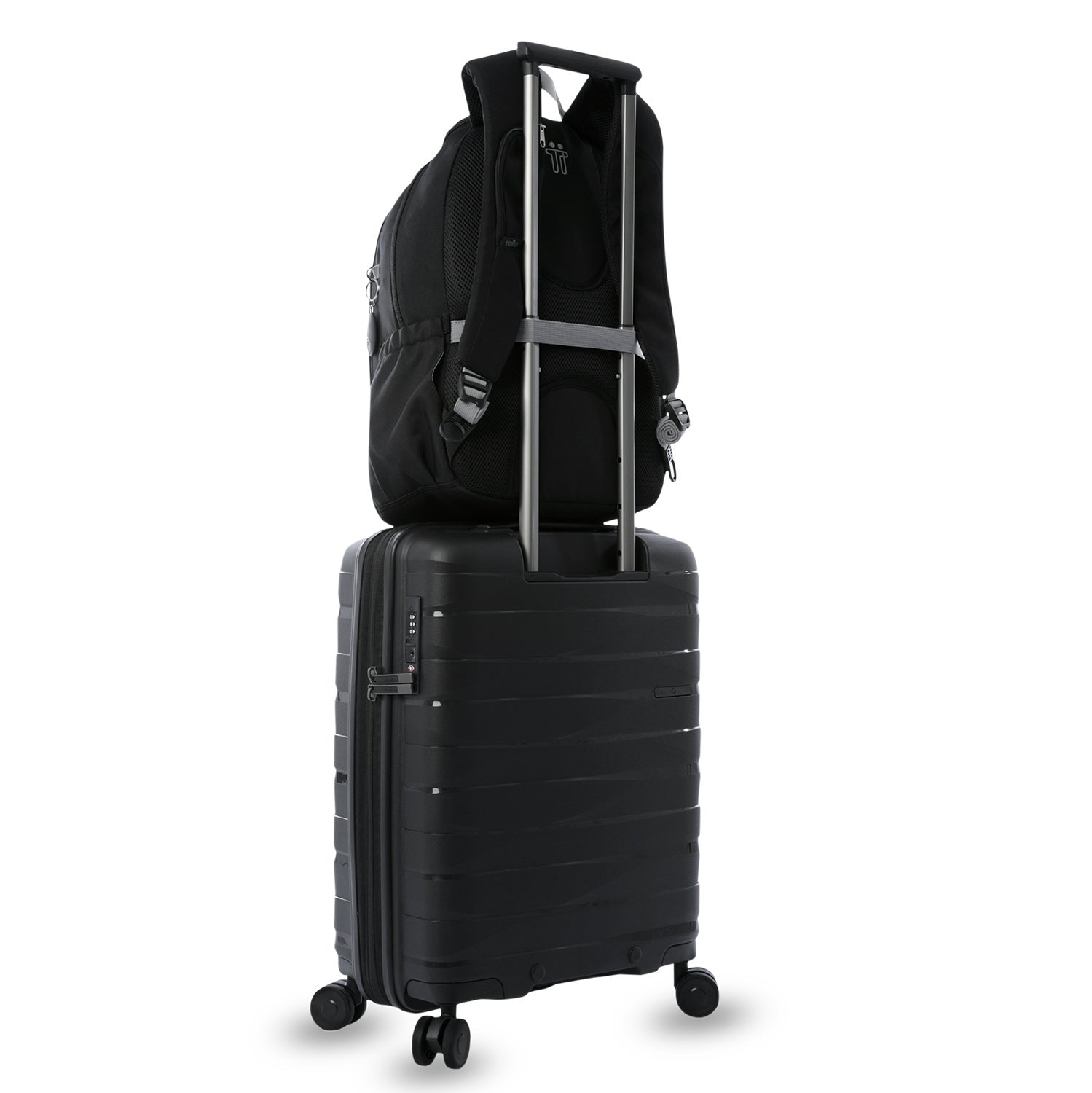 MORRAL GOCTAL