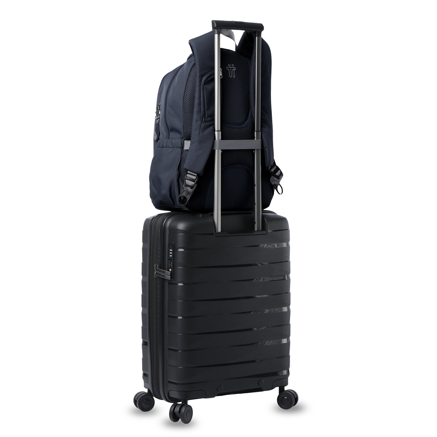 MORRAL GOCTAL
