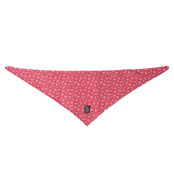 Pañuelo para mascotas doble cara estampado Kamm - Talla L image number 1
