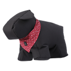 Pañuelo para mascotas doble cara estampado Kamm - Talla L image number 5