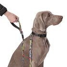 Correa para perros estampado geommyn - Odye talla L image number 5