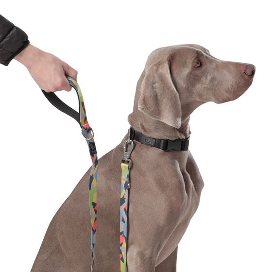 Correa para perros estampado geommyn - Odye talla L image number 5