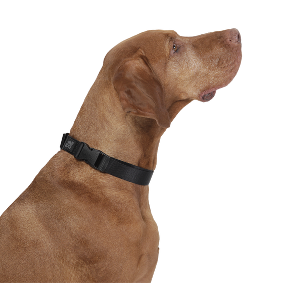 Collar ajustable negro - Mylu talla L image number 4