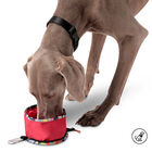 Bebedero portátil para mascotas estampado geommyn - Vito image number 1
