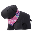 Pañuelo para mascotas doble cara estampado multi - Talla L image number 5