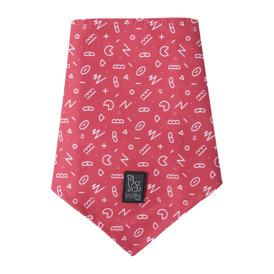 Pañuelo para mascotas doble cara estampado Kamm - Talla L image number 3