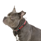 Collar ajustable estampado kamm - Mylu talla M image number 3