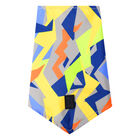 Pañuelo para mascotas doble cara estampado geommax - Talla L image number 3