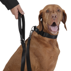 Correa para perros negro - Odye talla L image number 3