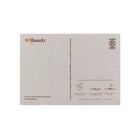 Tarjeta Eco-Friendly semillas Sheedo - Naturaleza image number 2