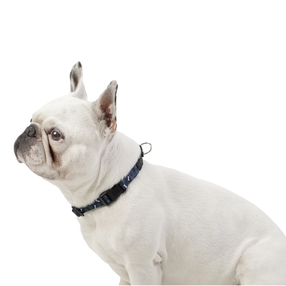 Collar ajustable estampado huesitos - Mylu talla S image number 3