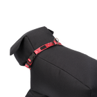 Collar ajustable estampado kamm - Mylu talla XL image number 3