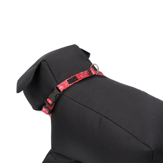 Collar ajustable estampado kamm - Mylu talla XL image number 3
