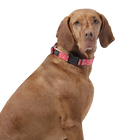 Collar ajustable estampado kamm - Mylu talla L image number 4