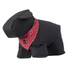 Pañuelo para mascotas doble cara estampado Kamm - Talla S image number 5