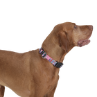 Collar ajustable estampado mega - Mylu talla XL image number 3