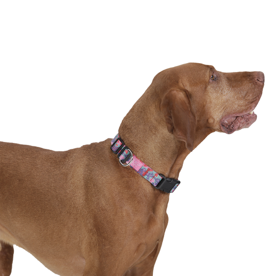 Collar ajustable estampado mega - Mylu talla XL image number 3