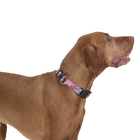 Collar ajustable estampado mega - Mylu talla L image number 3