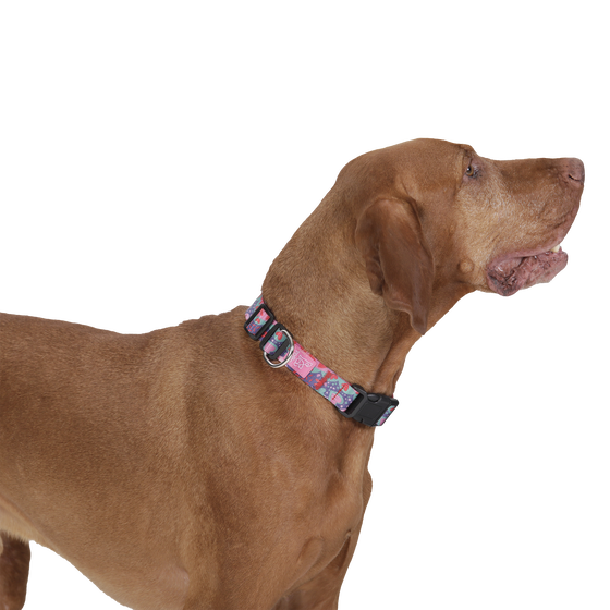 Collar ajustable estampado mega - Mylu talla L image number 3