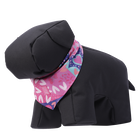 Pañuelo para mascotas doble cara estampado multi - Talla XL image number 5
