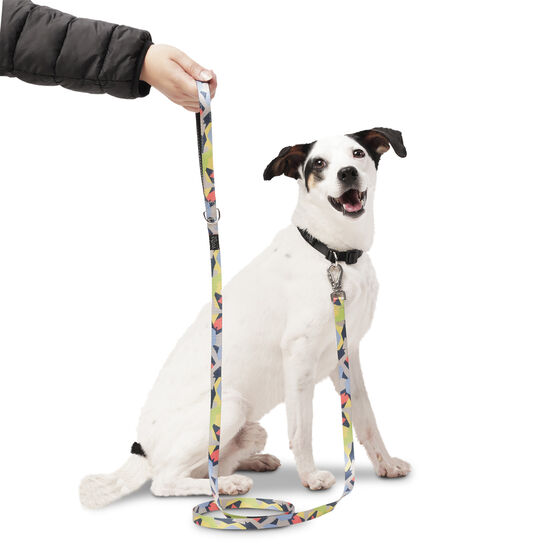 Correa para perros estampado geommyn - Odye talla S image number 6