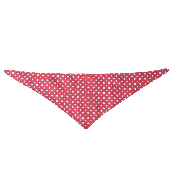 Pañuelo para mascotas doble cara estampado Kamm - Talla L image number 2