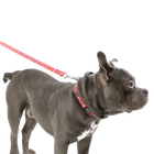 Collar ajustable estampado kamm - Mylu talla M image number 5