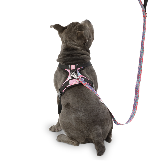 Correa para perros estampado mega - Odye talla L image number 4