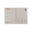 Tarjeta Eco-Friendly semillas Sheedo - Like a flower image number 2