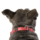 Collar ajustable estampado kamm - Mylu talla M image number 4