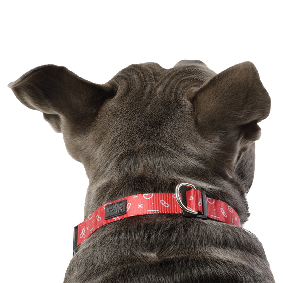 Collar ajustable estampado kamm - Mylu talla M image number 4