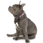 Collar ajustable estampado mega - Mylu talla M image number 2