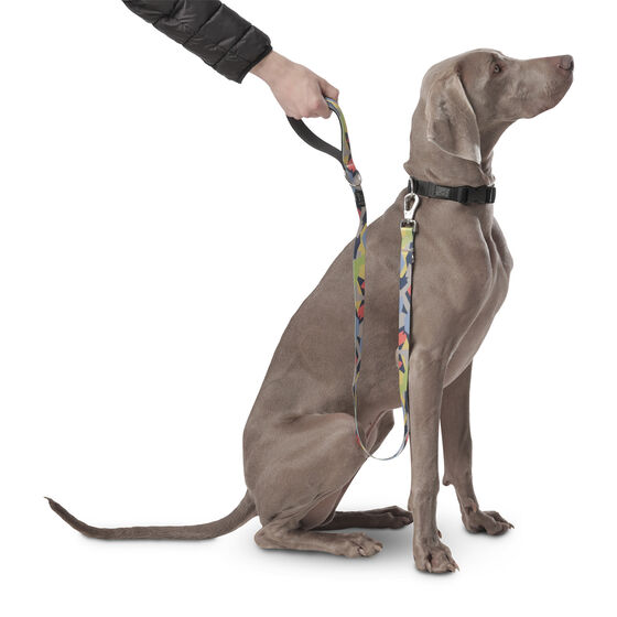 Correa para perros estampado geommyn - Odye talla L image number 6