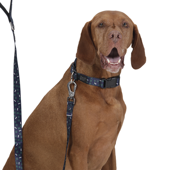 Collar ajustable estampado huesitos - Mylu talla L image number 3