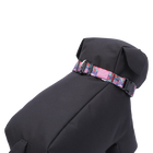 Collar ajustable estampado mega - Mylu talla XL image number 5