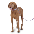 Correa para perros estampado mega - Odye talla L image number 3