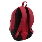 Mochila para portátil de 14 - Tanzan image number 4