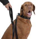 Correa para perros negro - Odye talla L image number 2
