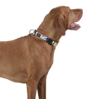 Collar ajustable estampado geommyn - Mylu talla L image number 3