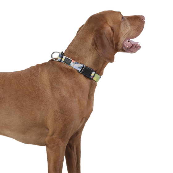 Collar ajustable estampado geommyn - Mylu talla L image number 3