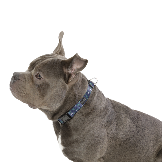 Collar ajustable estampado huesitos - Mylu talla M image number 3